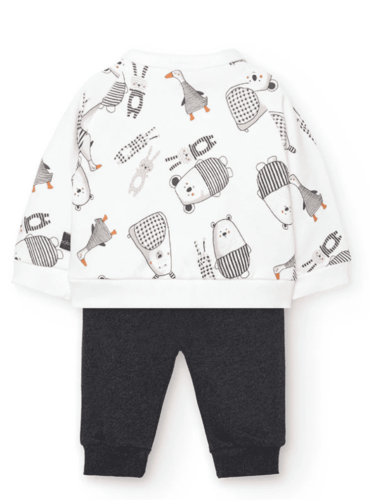 Conjunto 122162