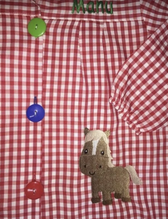 Mandilón caballito
