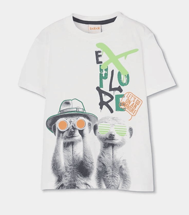 Camiseta 513144