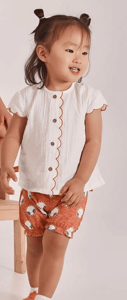 Conjunto 123062