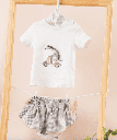 Conjunto 84062